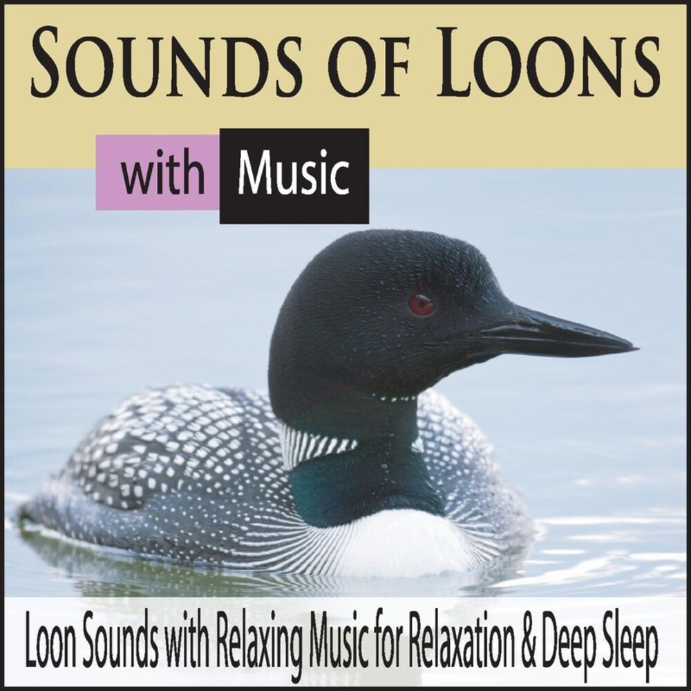 Picture of Sounds of Loons With Music: Loon Sounds With Relaxing Music for Relaxation & Deep Sleep