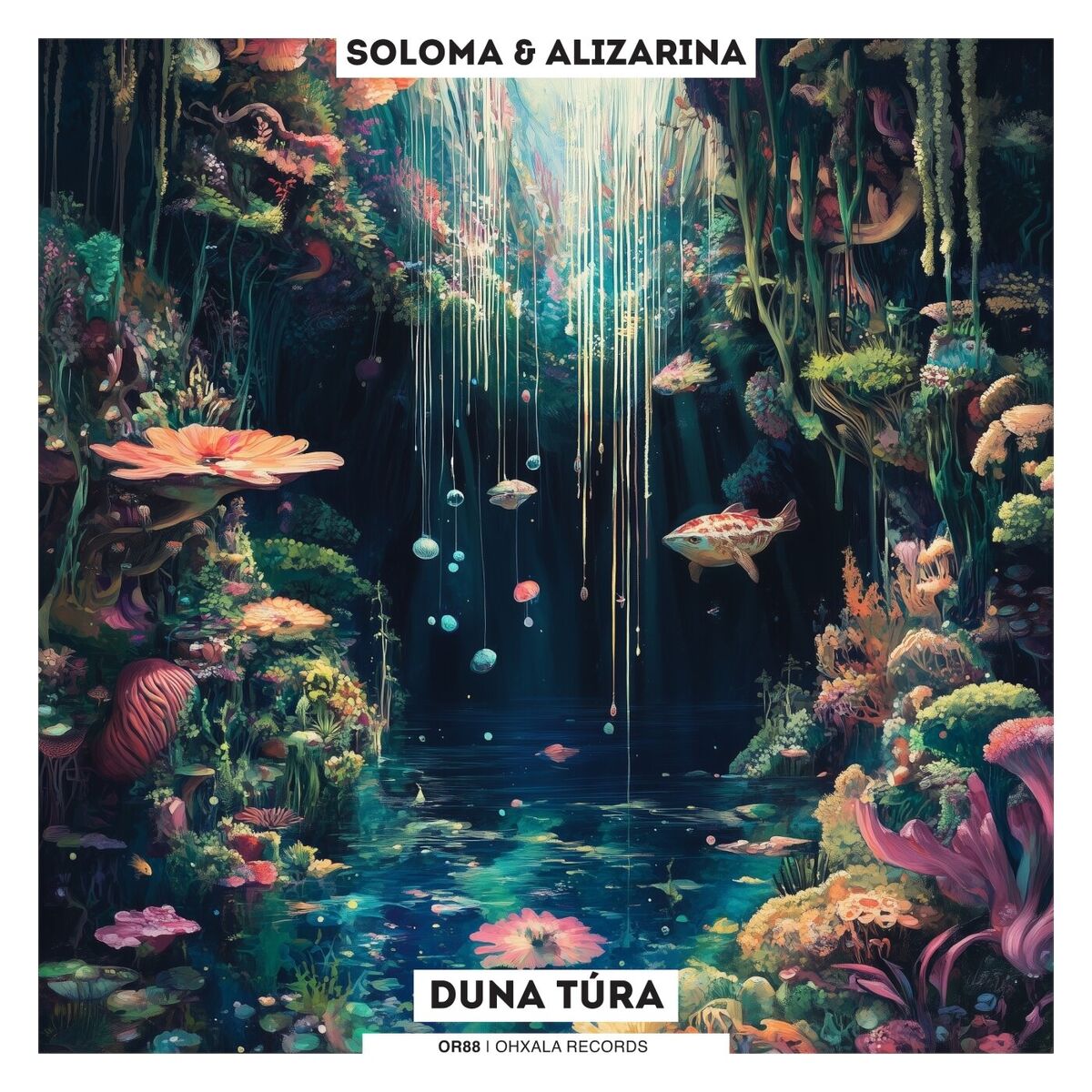 Album cover of Duna Túra