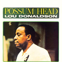 Cover of Possum Head