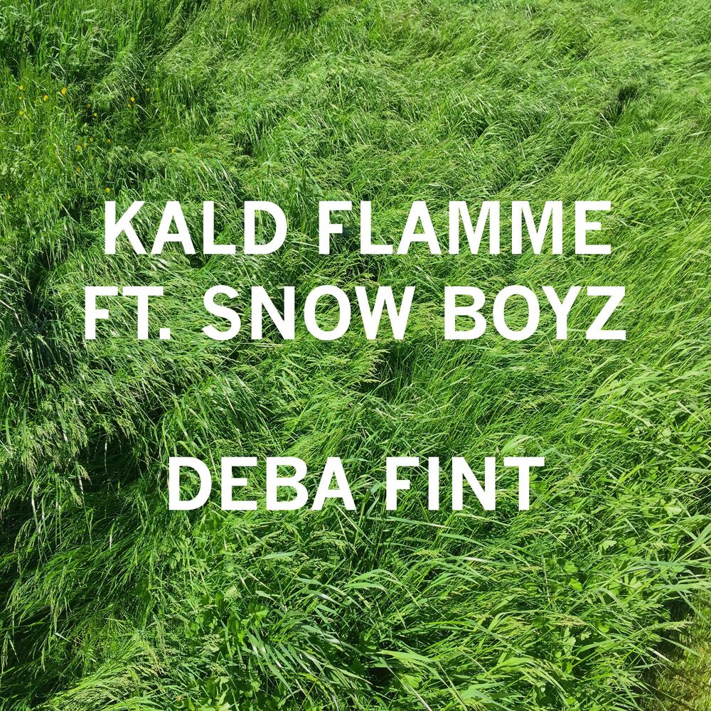 Picture of Deba Fint (feat. Snow Boyz)