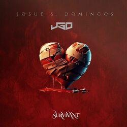 Cover of SURVIVANT