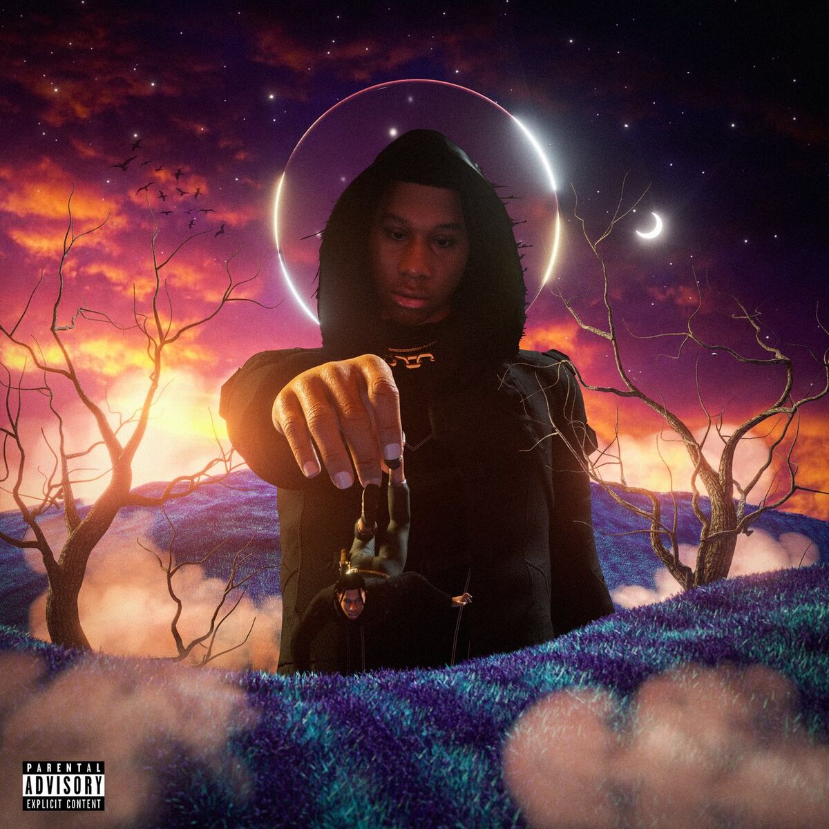 Album cover of Final Home