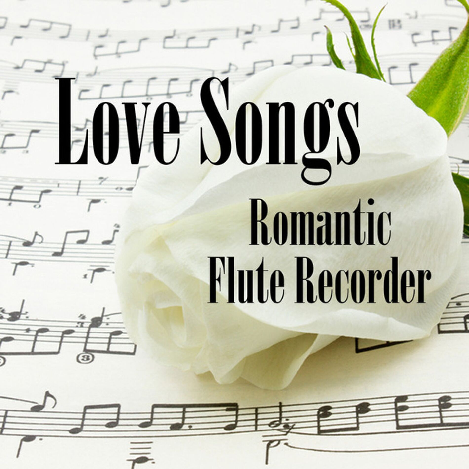 Album cover of Love Songs: Romantic Flute Recorder