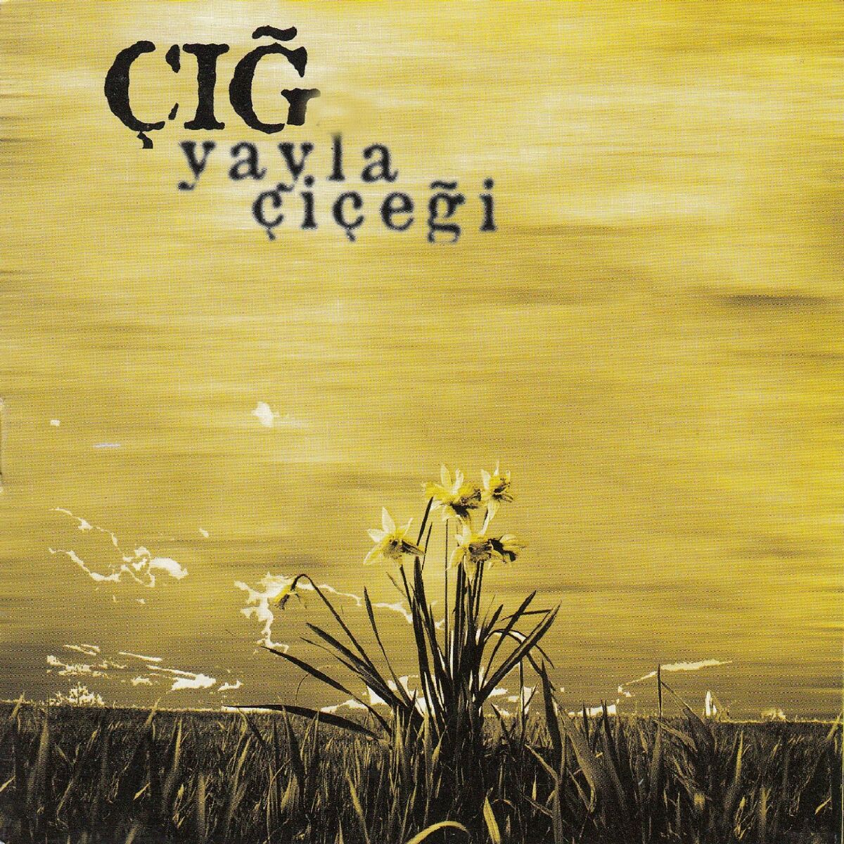 Album cover of Başta Garip Hal Dolaşır