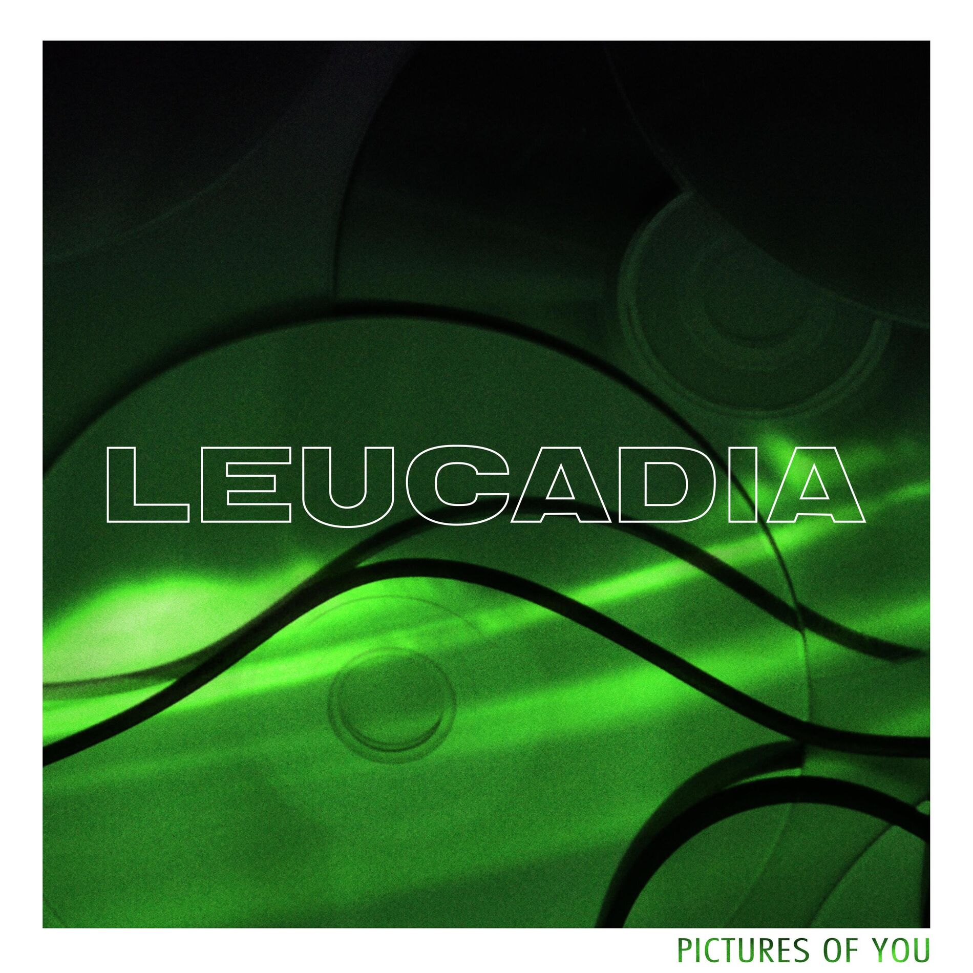 Album cover of Pictures of You