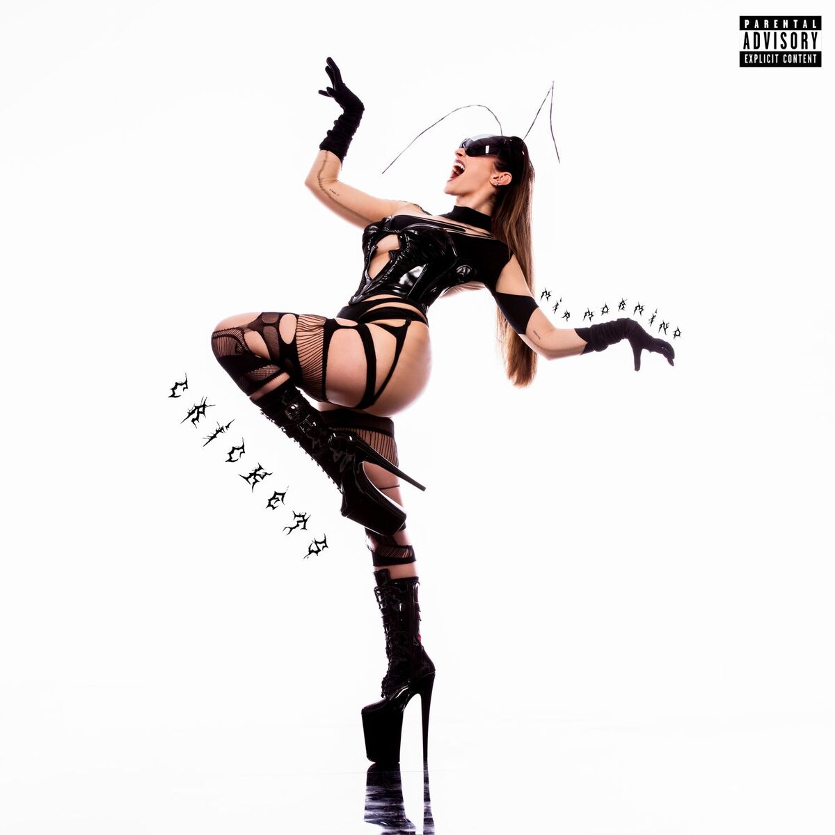 Album cover of Crickets
