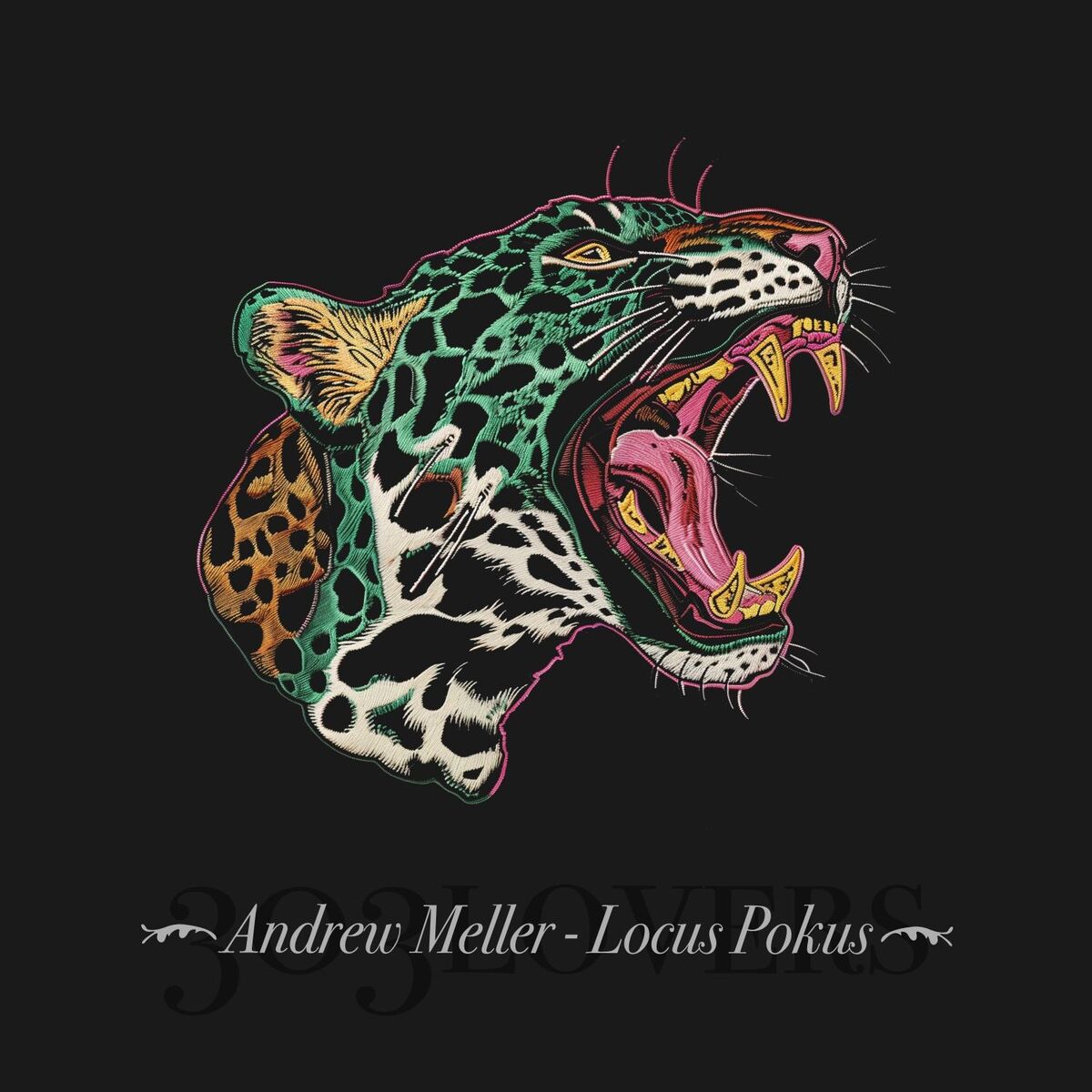 Album cover of Locus Pokus