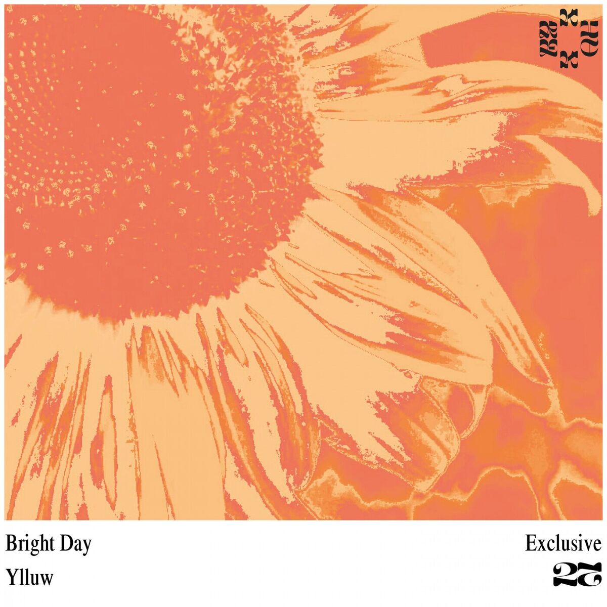 Album cover of Bright Day