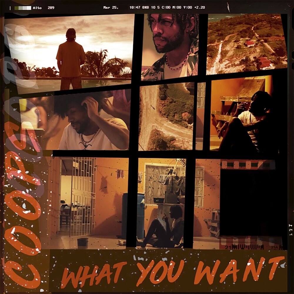 Picture of What You Want