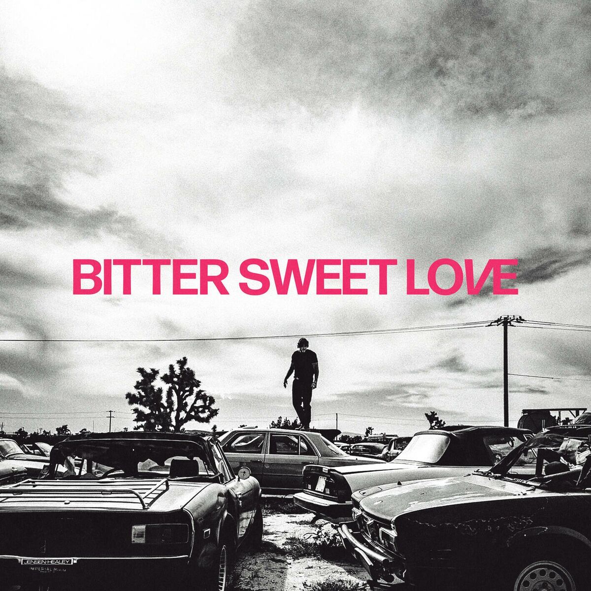 Album cover of Sinners