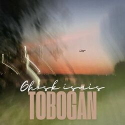 Cover of Tobogán