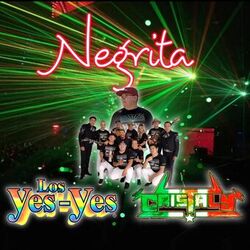 Cover of Negrita