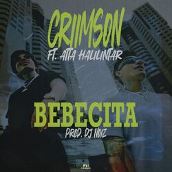 Cover of Bebecita
