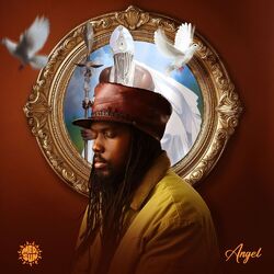 Cover of Angel