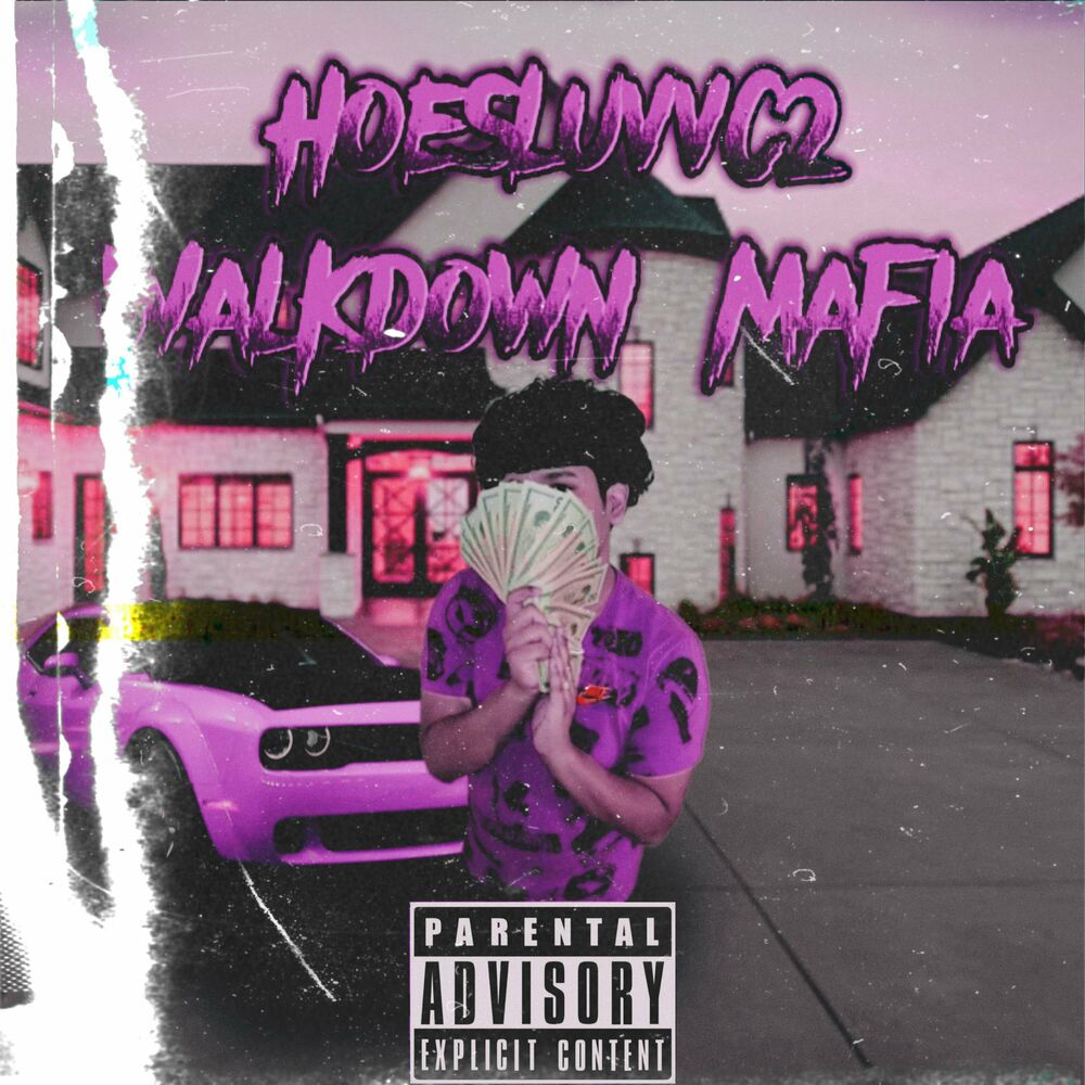 Picture of Walkdown Mafia