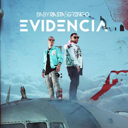 Cover of Evidencia