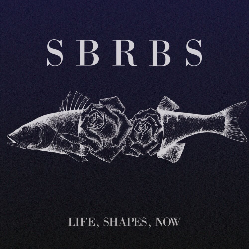 Picture of Life, Shapes, Now
