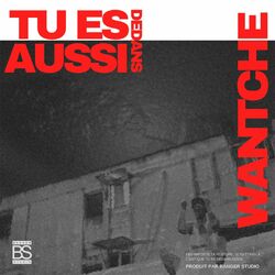Cover of Tu Es Dedans Aussi