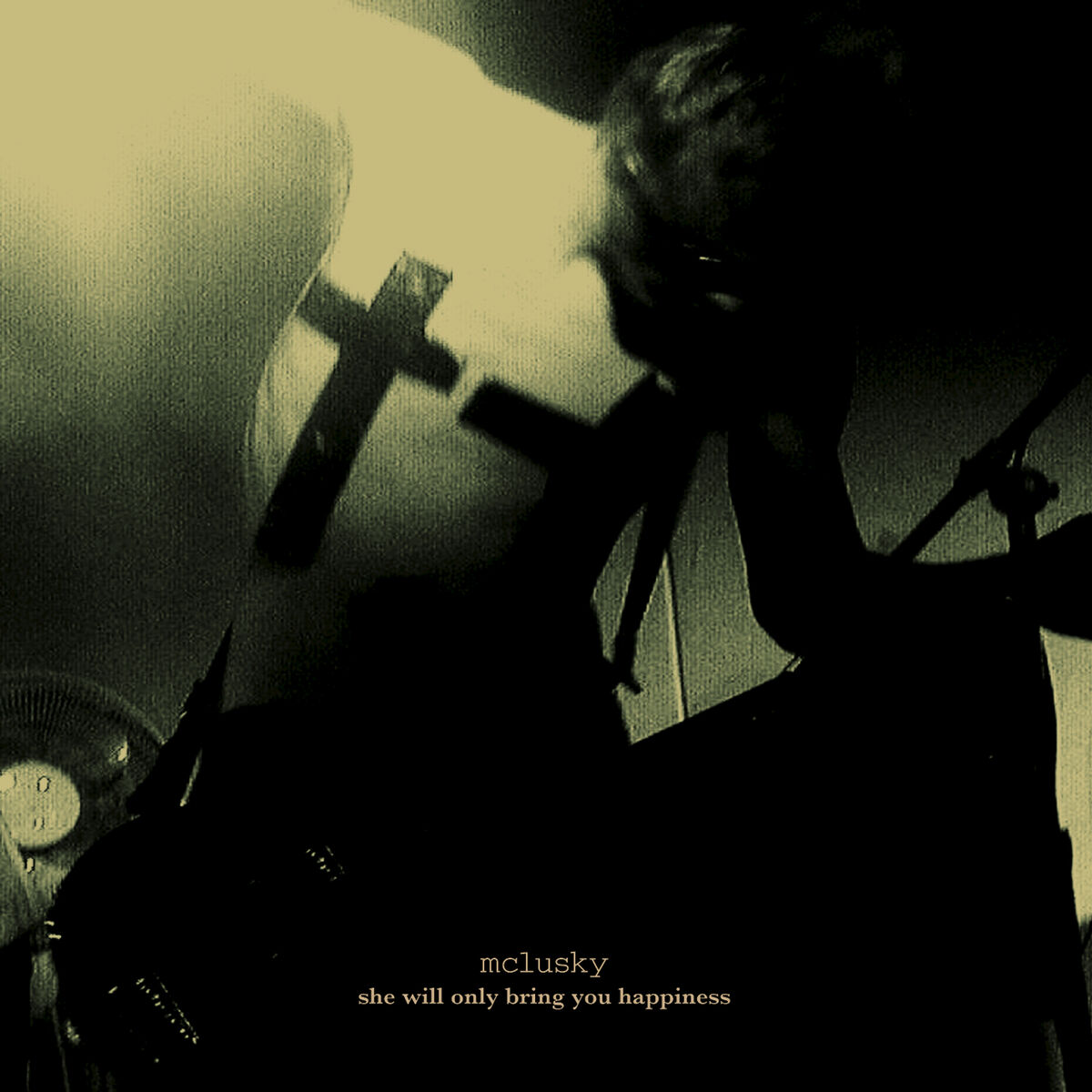 Album cover of She Will Only Bring You Happiness