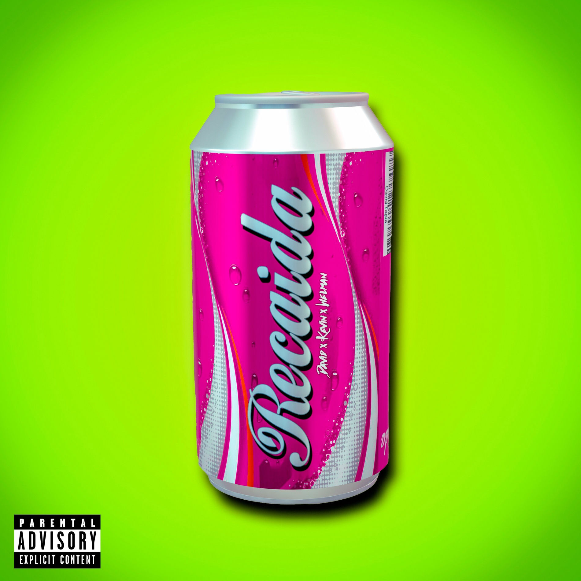 Album cover of Recaída (Onda Vital)