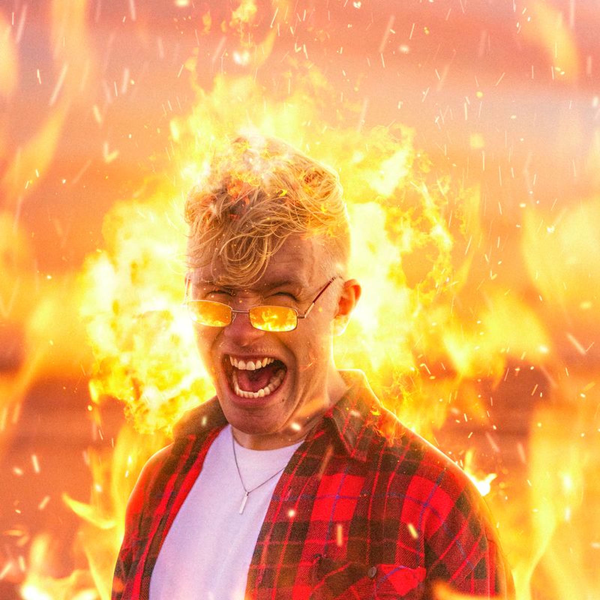 Album cover of Meeuw
