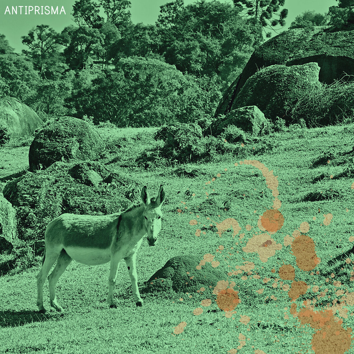Album cover of Antiprisma