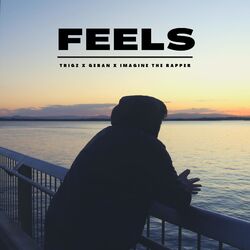 Cover of Feels