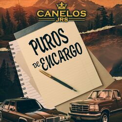 Cover of PUROS DE ENCARGO