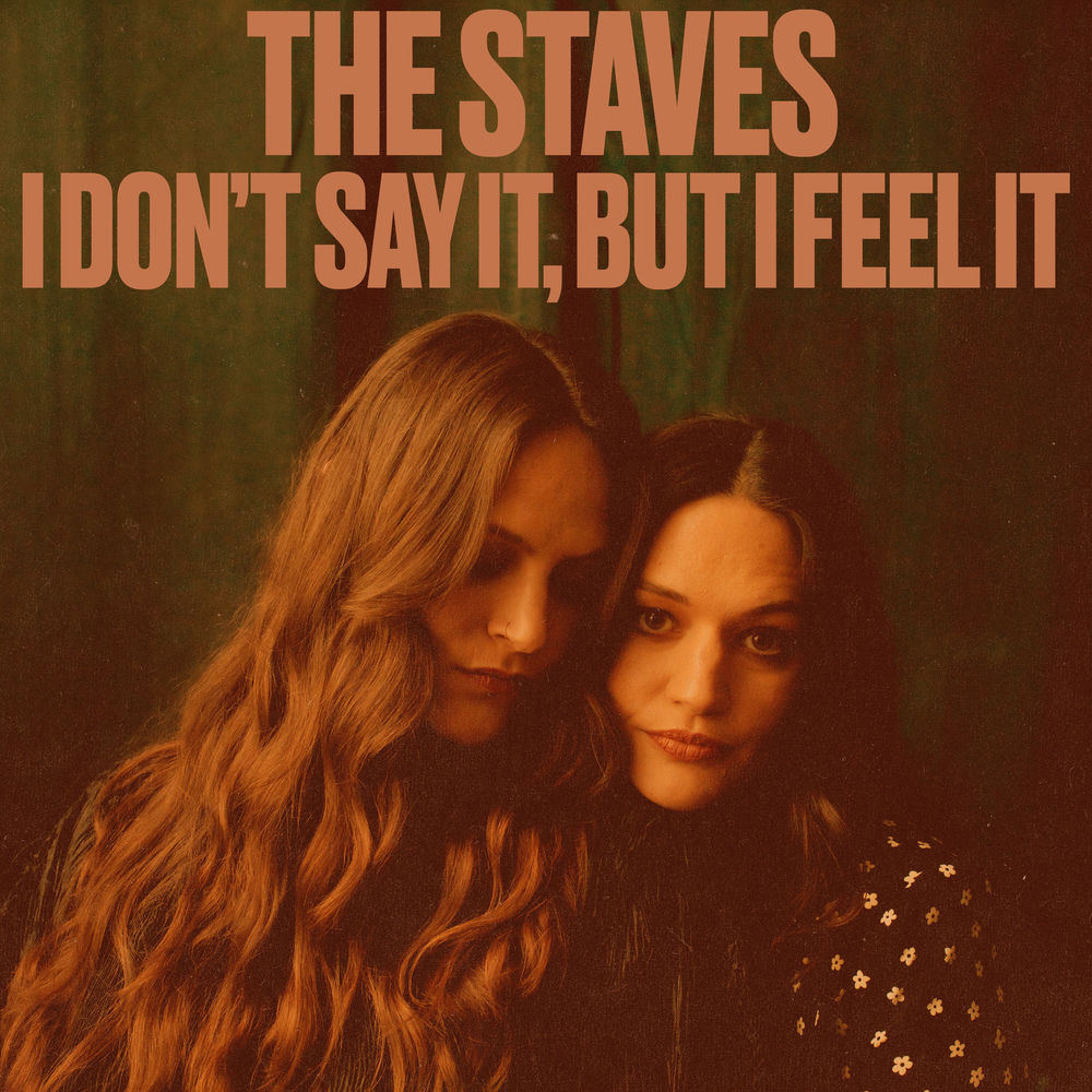 I Don't Say It, But I Feel It cover