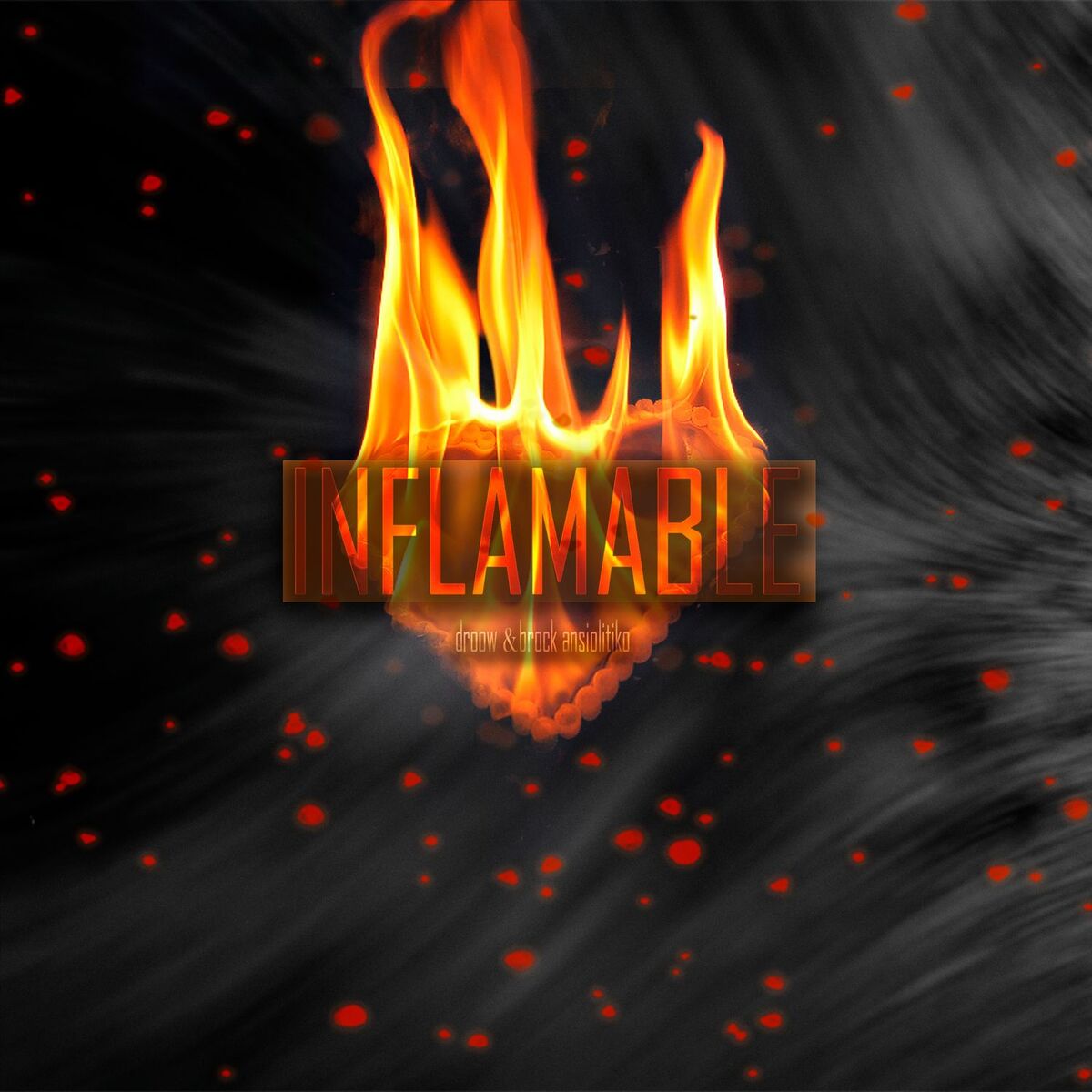 Album cover of Inflamable