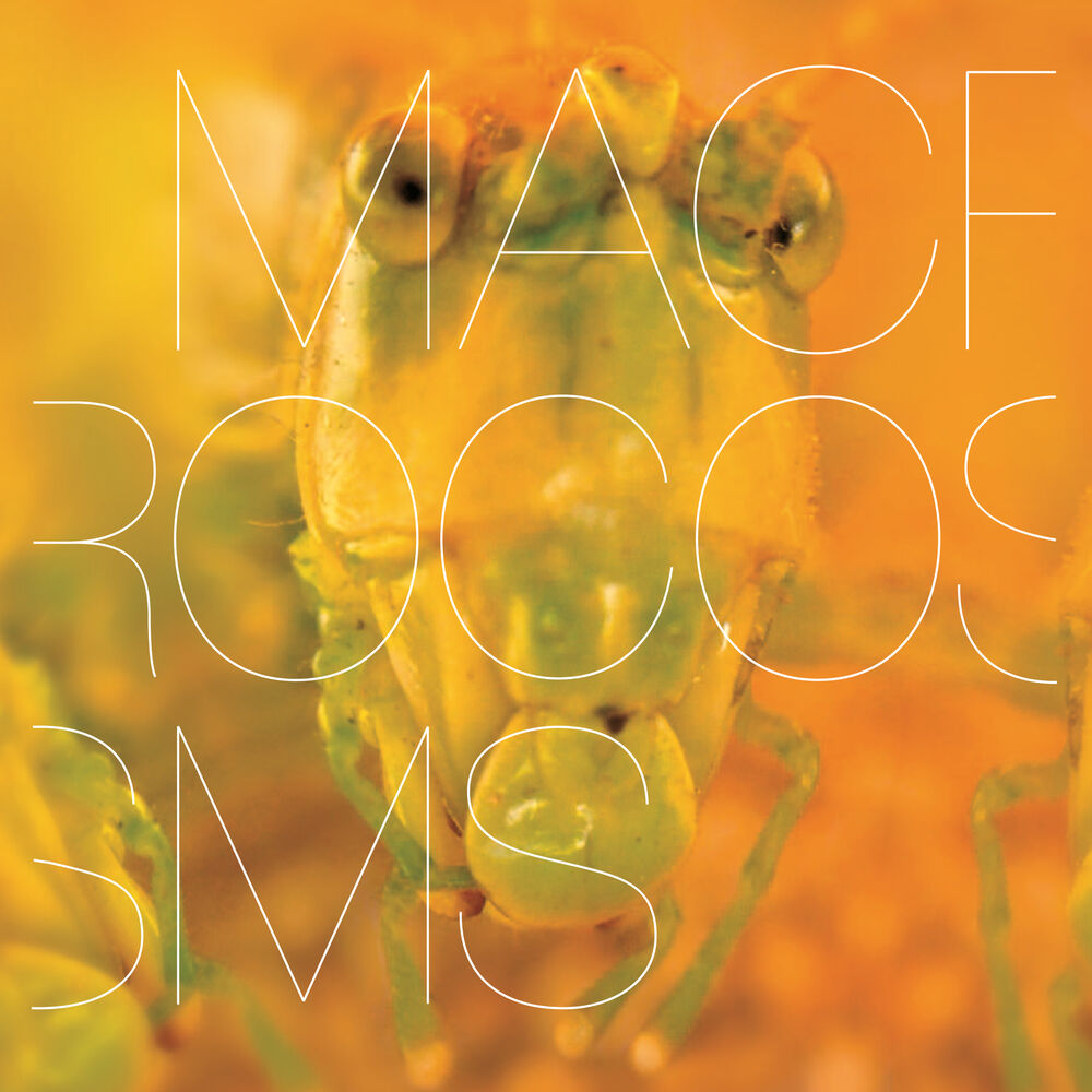 Picture of Macrocosms