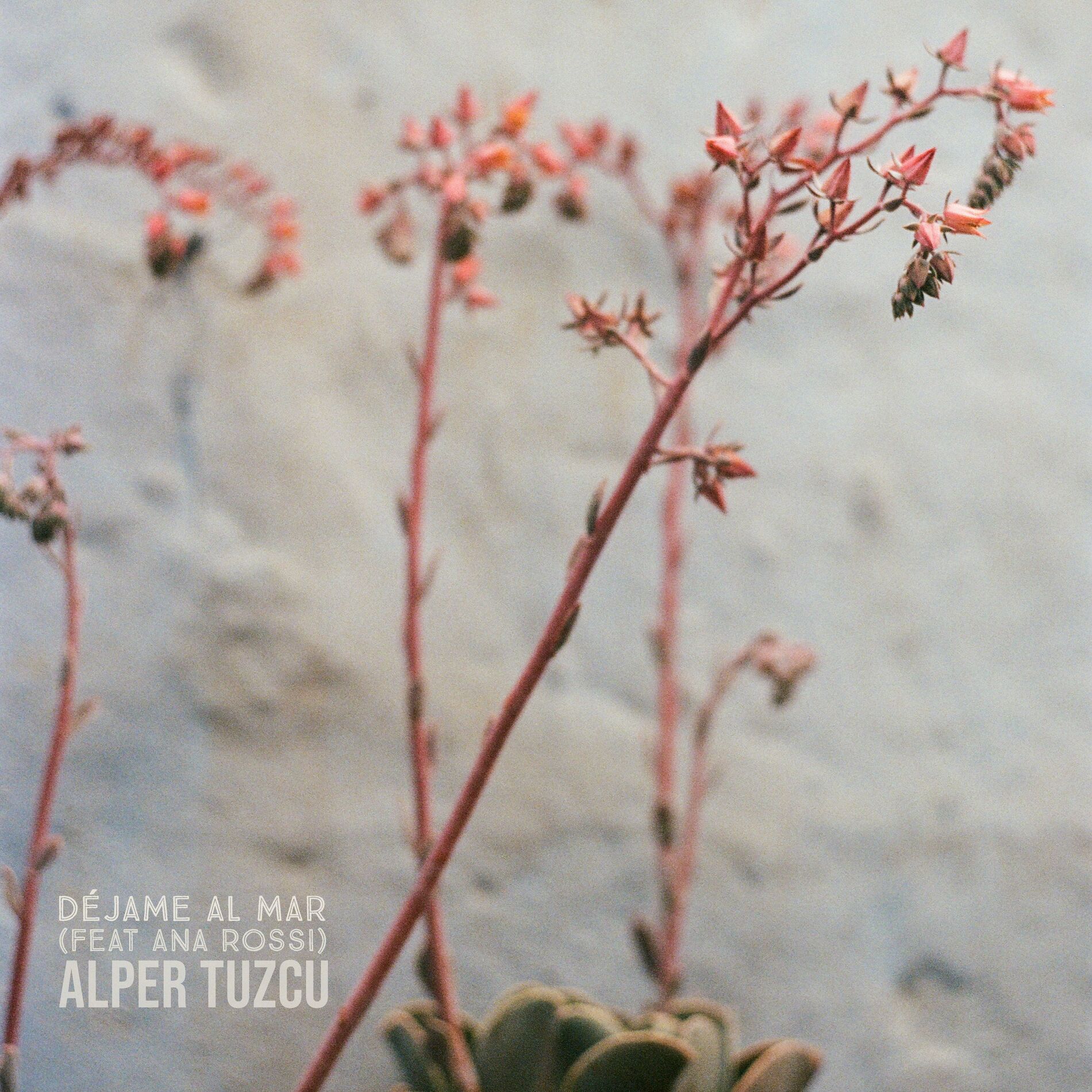 Album cover of Déjame al Mar