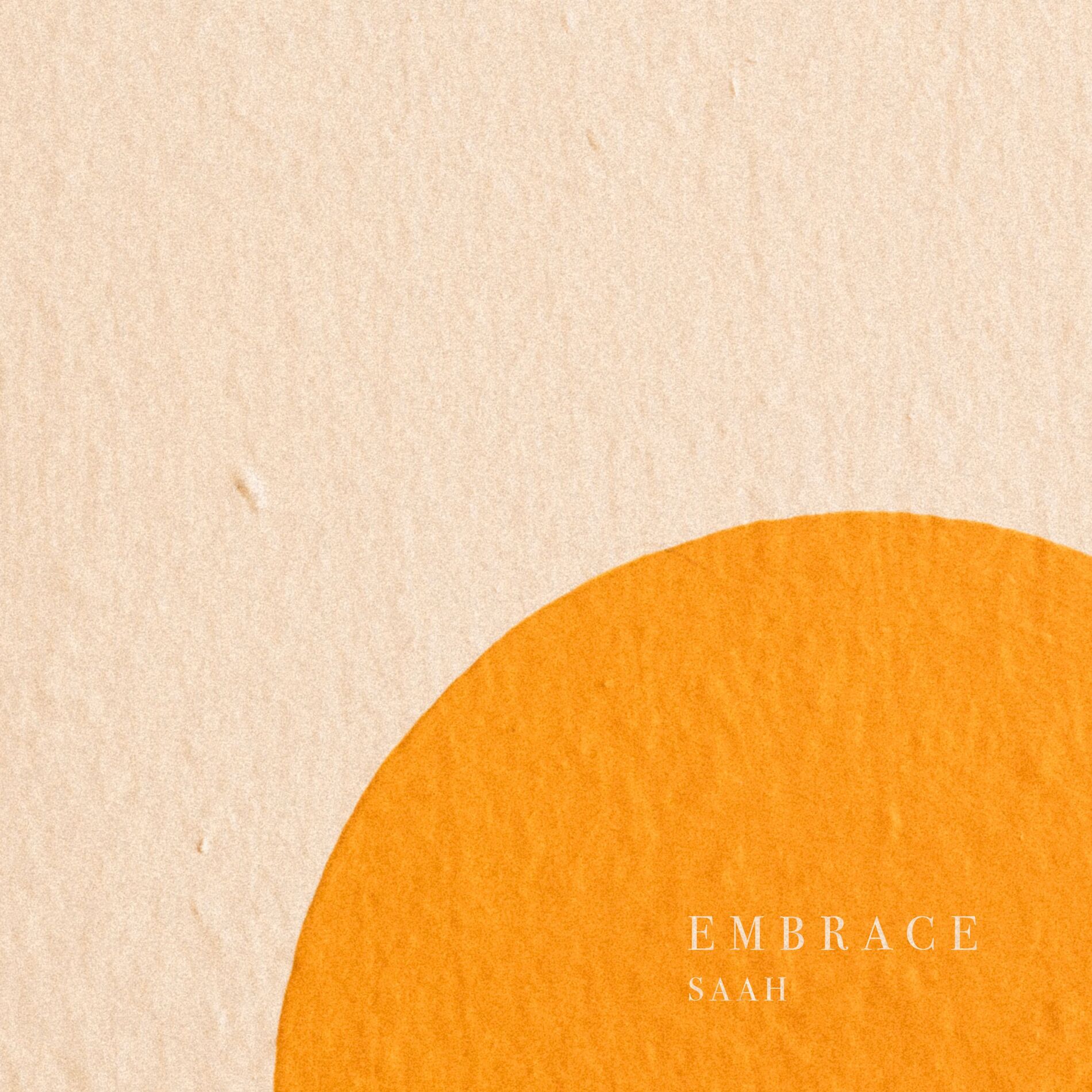 Album cover of Embrace