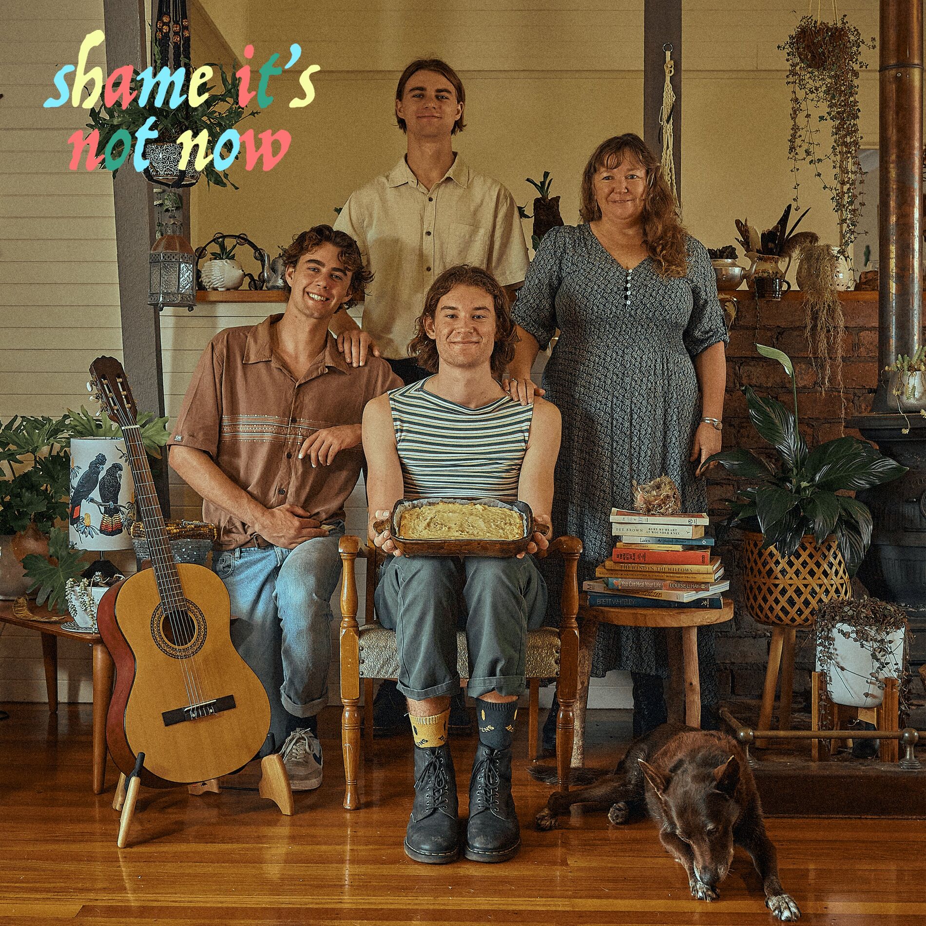 Album cover of Shame It's Not Now