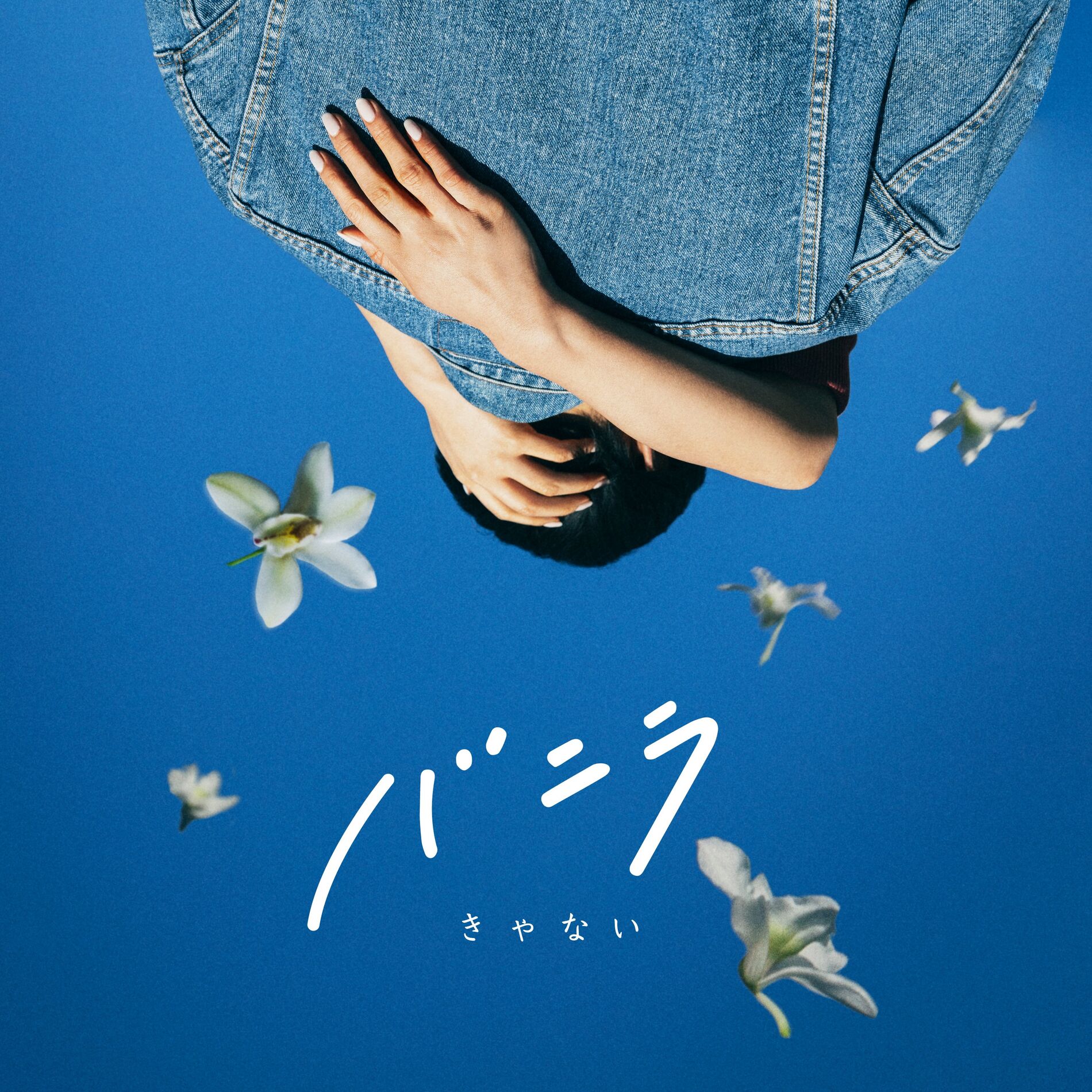 Album cover of Vanilla