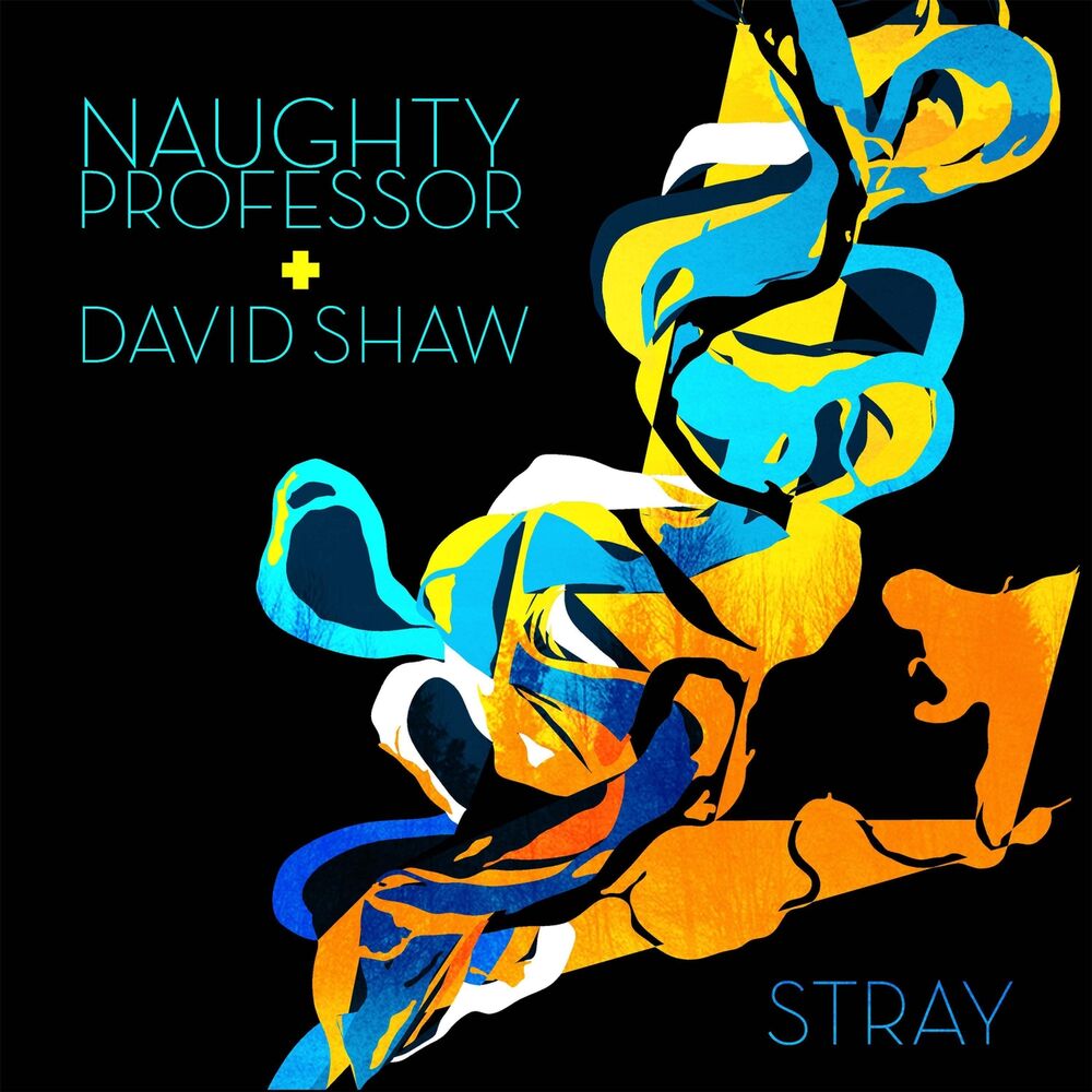 Picture of Stray