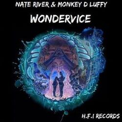 Cover of Wondervice