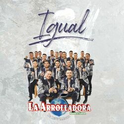 Cover of Igual