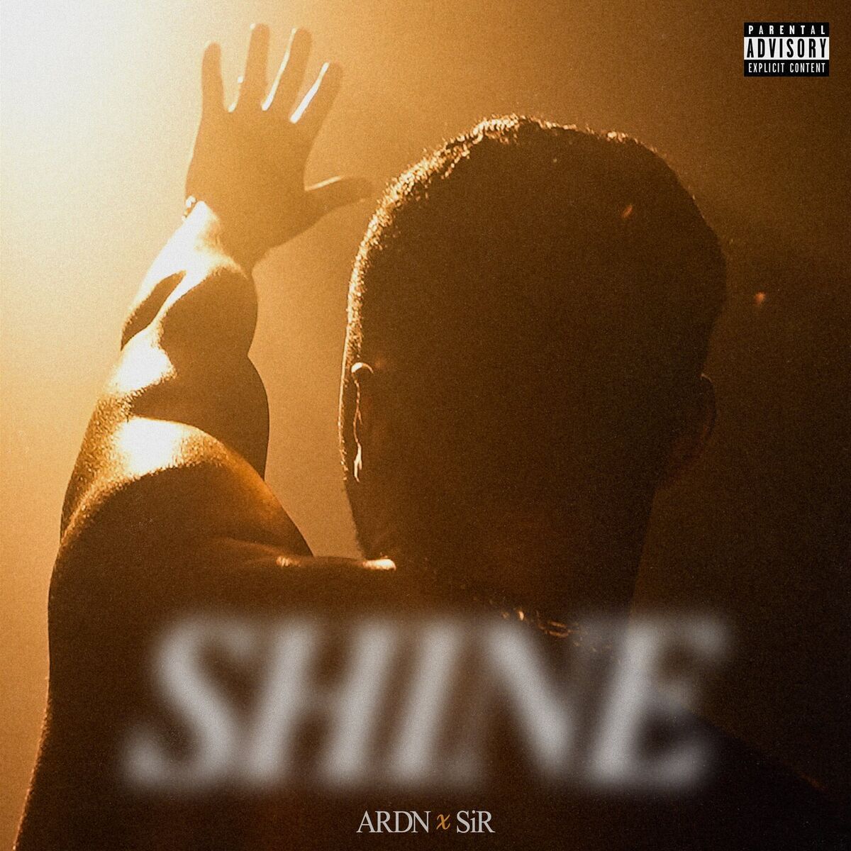 Album cover of SHINE