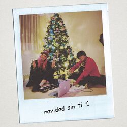 Cover of Navidad sin ti