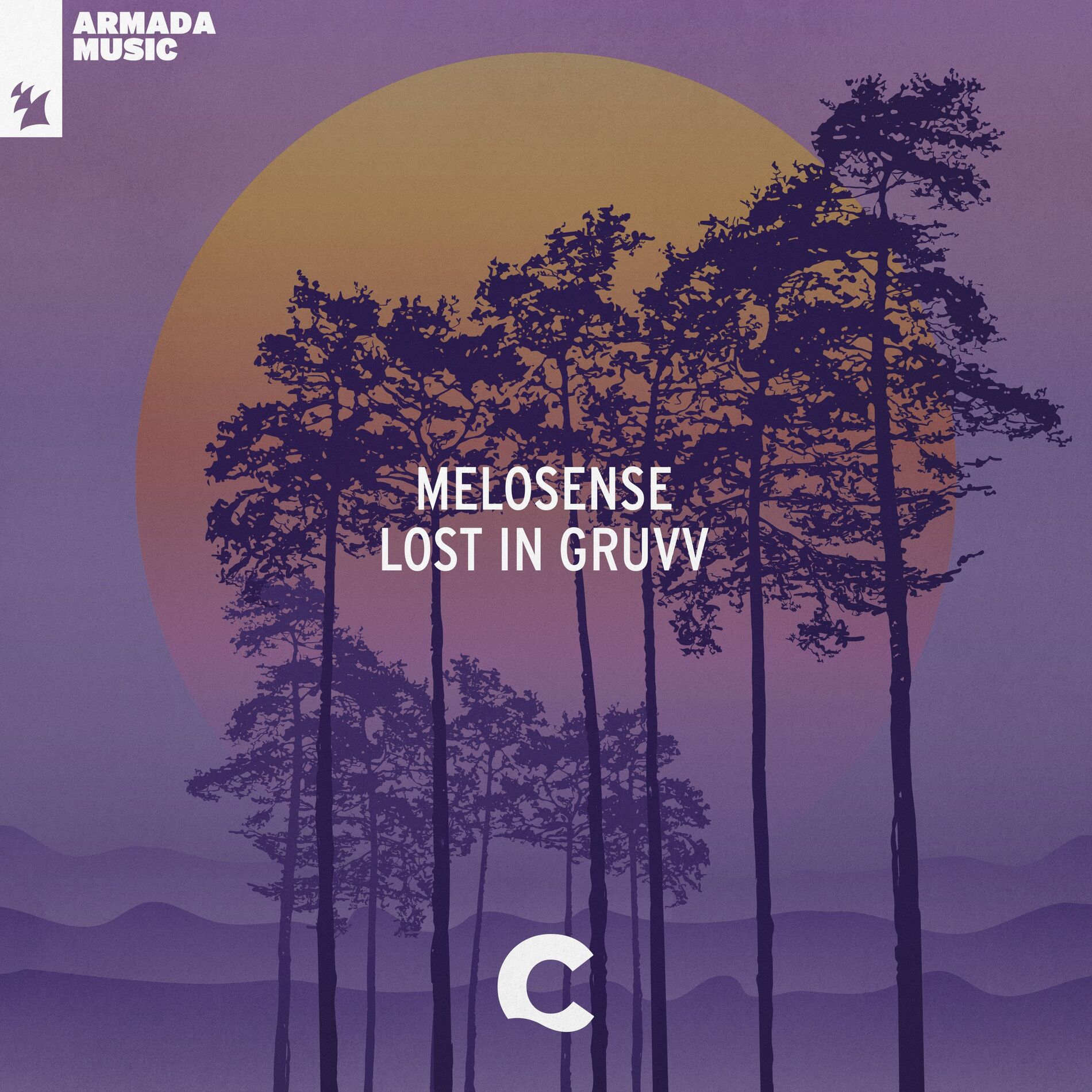 Album cover of Lost In Gruvv