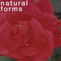 natural forms