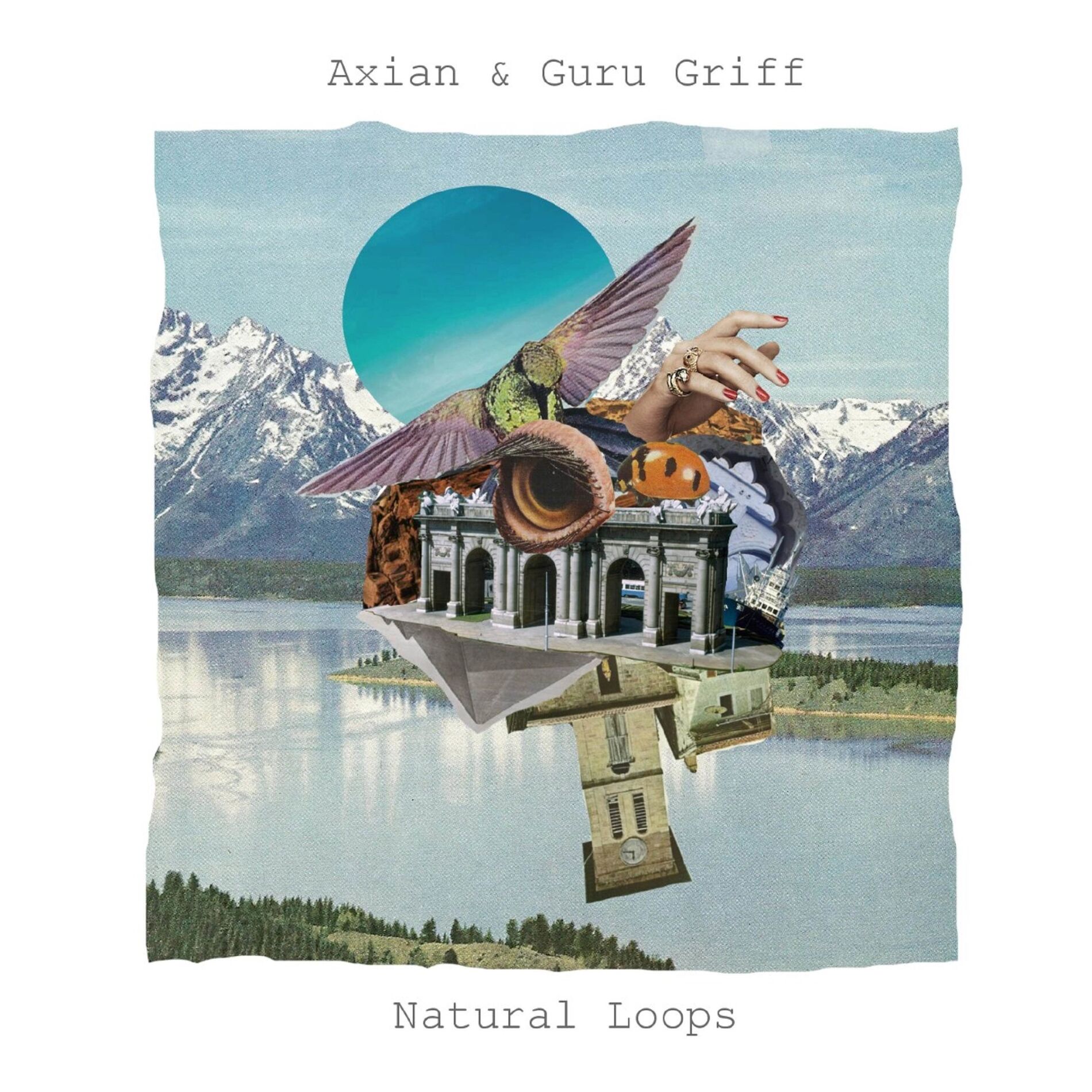 Album cover of Natural Loops