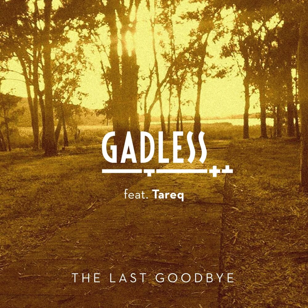Picture of The Last Goodbye
