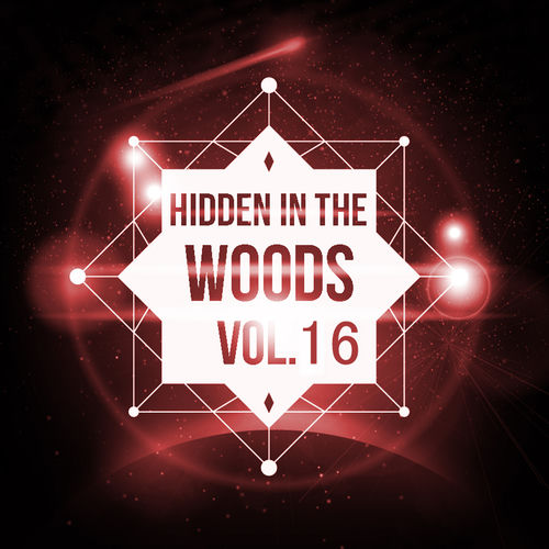 Hidden In The Woods VOL.16