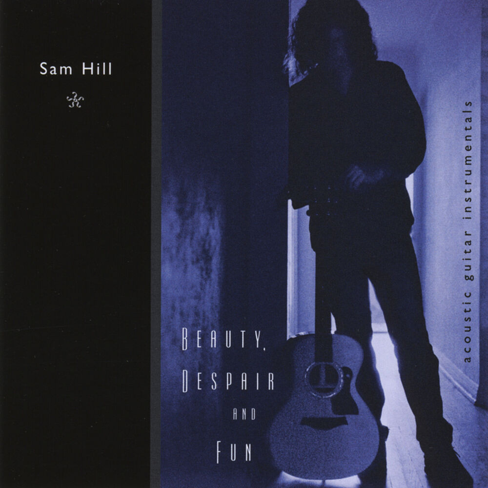 Picture of Beauty, Despair and Fun (Acoustic Guitar Instrumentals)