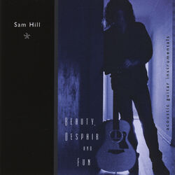 Cover of Beauty, Despair and Fun (Acoustic Guitar Instrumentals)