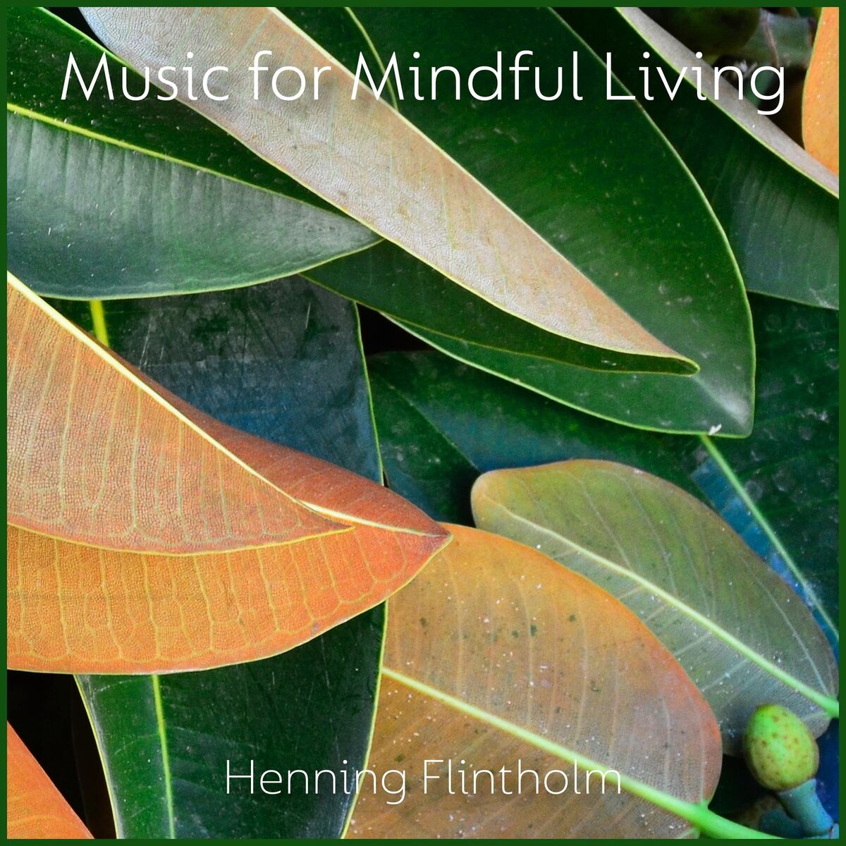 Album cover of Music for Mindful Living