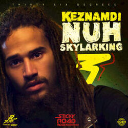 Cover of Nuh Skylarking