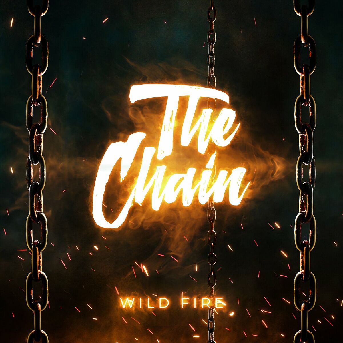 Album cover of The Chain